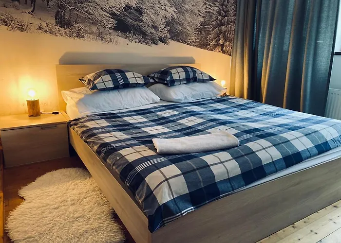 12 * Harrachov